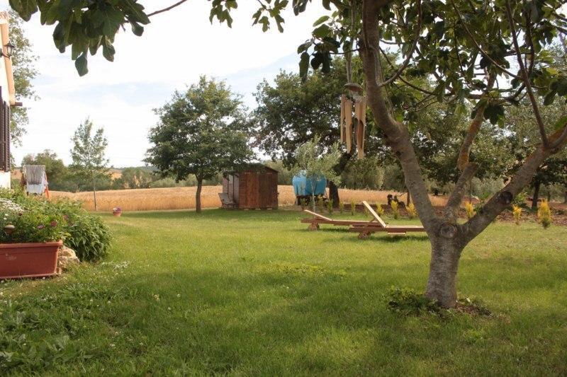 Agriturismo Da Remo Magliano in Toscana Kültér fotó