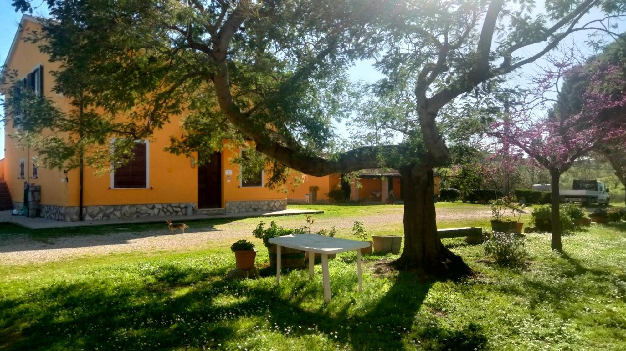 Agriturismo Da Remo Magliano in Toscana Szoba fotó