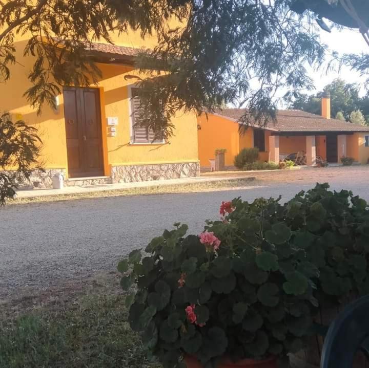 Agriturismo Da Remo Magliano in Toscana Kültér fotó