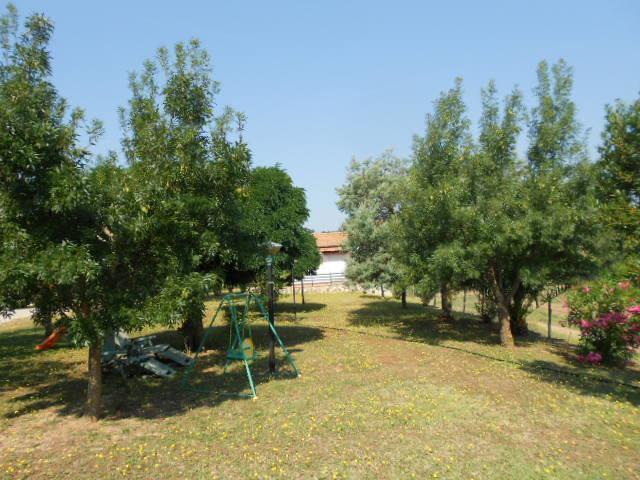 Agriturismo Da Remo Magliano in Toscana Kültér fotó