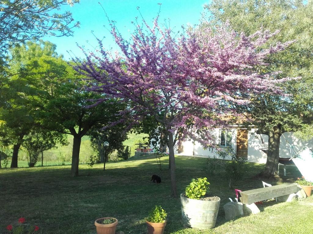 Agriturismo Da Remo Magliano in Toscana Kültér fotó