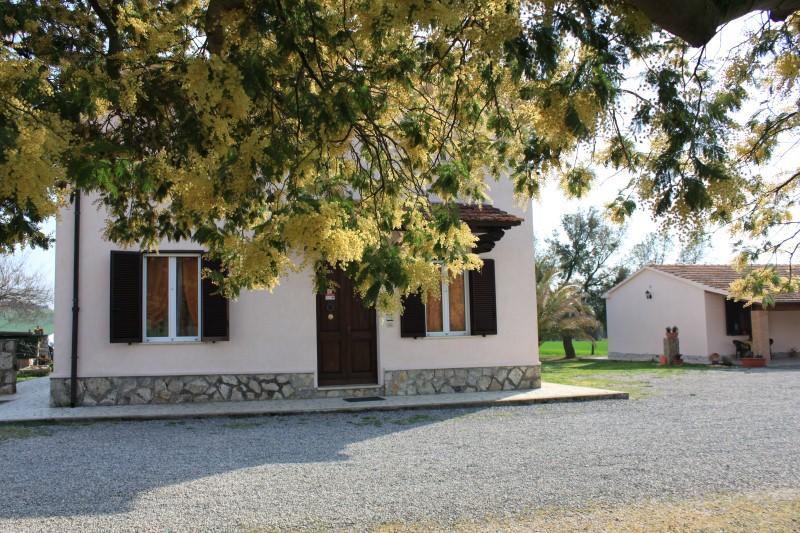 Agriturismo Da Remo Magliano in Toscana Kültér fotó