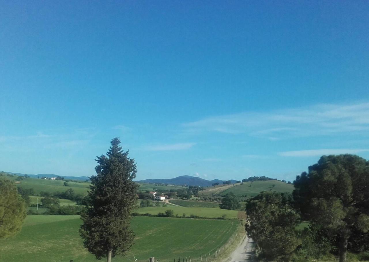 Agriturismo Da Remo Magliano in Toscana Kültér fotó